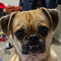 Profile Picture of FroggieVR