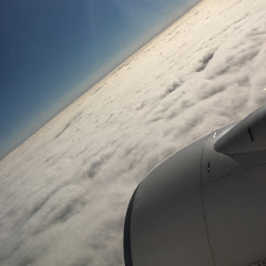 ヒナセ🕊‎