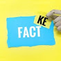 Kt shorte fact  logo