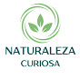 Naturaleza Curiosa logo