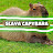 @Slava_Capybara