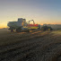 3XhbAECBUxM-channel-avatar-Halstead Farm