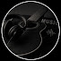bL08fWQunXM-channel-avatar-ATMOSPHERE ACOUSTIC
