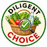 XC_jNltJHco-channel-avatar-Diligent Choice