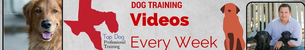 Top Dog Professional Training Avatar de canal de YouTube