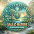 Au4Af7d28o4-channel-avatar-GALLIO NATURE