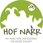 Hof Narr Avatar