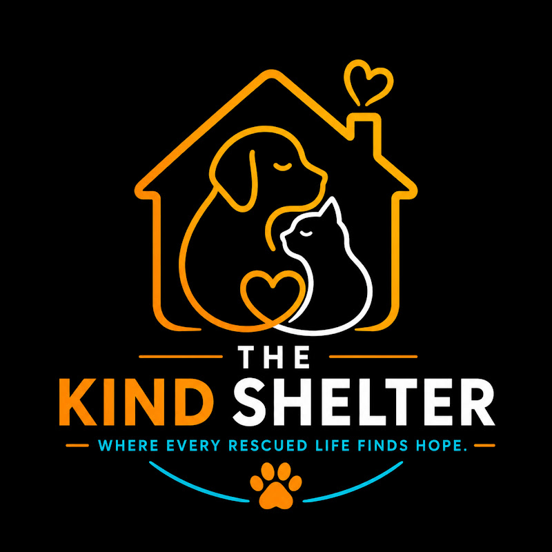 The Kind Shelter