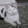 Автор