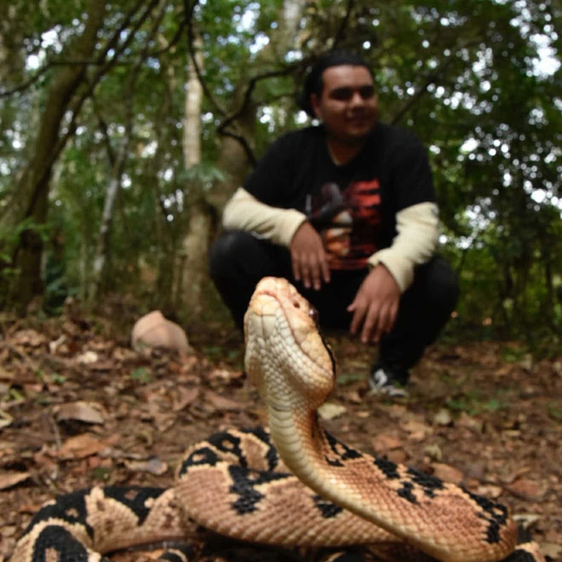 The Jungle with Jair