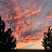 @b9bomber234 Avatar