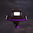 Gordon 