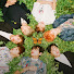 UWnS0JrY_Fk-channel-avatar-bangtan’sbutterfly 