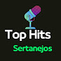 Top Hits Sertanejo Image Thumbnail