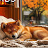 XLVJW0Gfu64-channel-avatar-Calming Dog Music