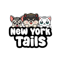 New York Tails Avatar