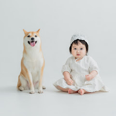 柴犬きなこと道産子夫婦アイコン画像