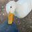 @johnrogers9942 Avatar