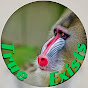 True Exists Image Thumbnail