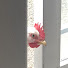 gMHj0YT-Oyc-channel-avatar-Lots of Chicken