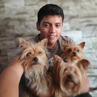 Sebastián Cristóbal Valdés bastias profile image