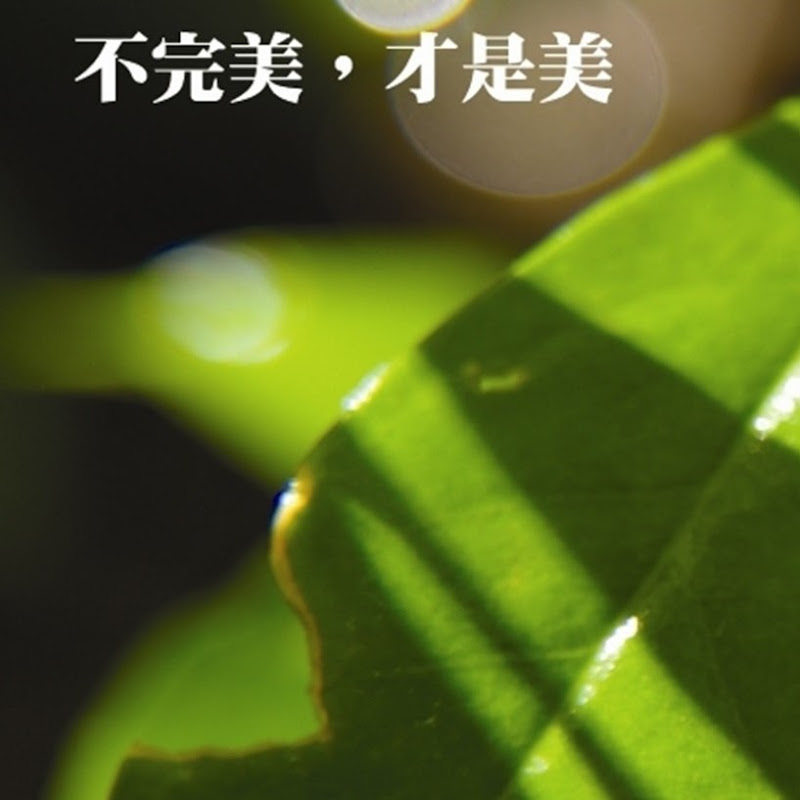 癌症資訊網 Logo