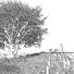 lIdEMNoURlc-channel-avatar-Ade5619
