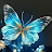 @alina_butterflies