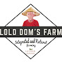 Lolo Dom's Channel logo
