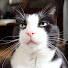 U63dwuzJh7A-channel-avatar-Closeup to U