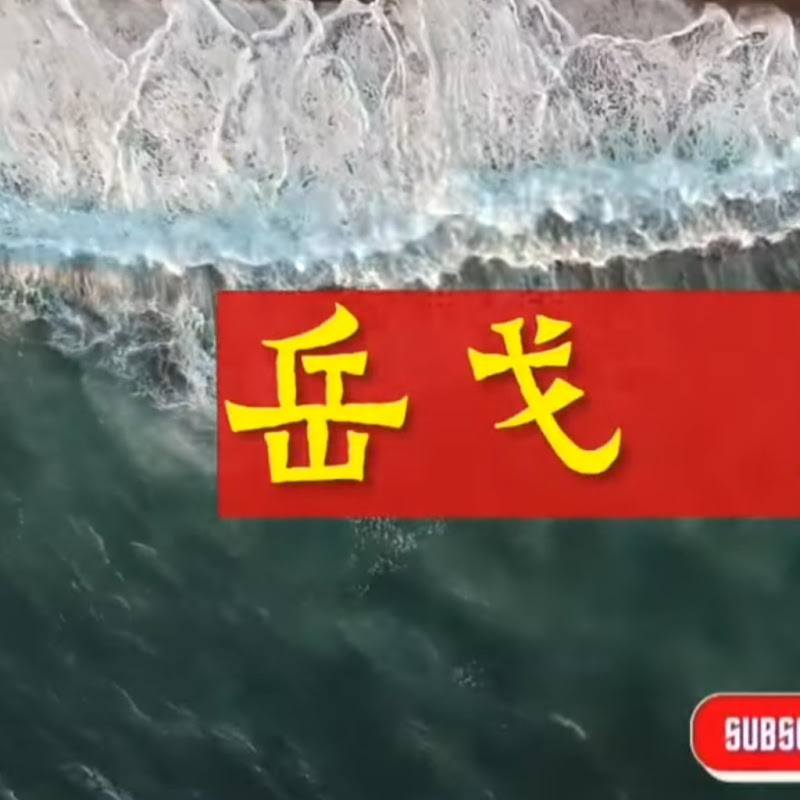 岳戈•南方浪 Logo