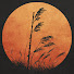 r1llI2DRLZQ-channel-avatar-Sandreed Ancient Music