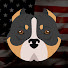 1srUAUfwf_M-channel-avatar-American Dog Lovers