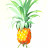 @pine_orange1493