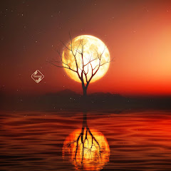 Ensemble de Musique Zen Relaxante - Topic