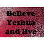 Believe Yeshua and Live logo