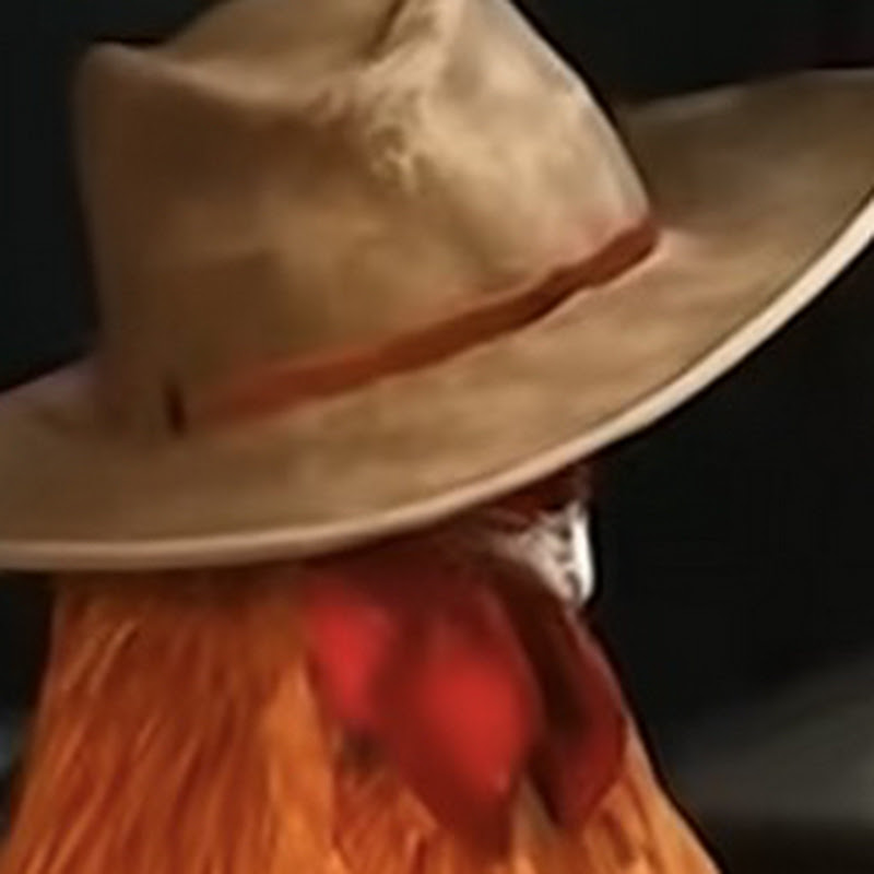 Hire SnappyTalk — Roblox Content YouTube creator for sponsorships