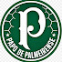 QD2zVEmOjKo-channel-avatar-Papo de Palmeirense