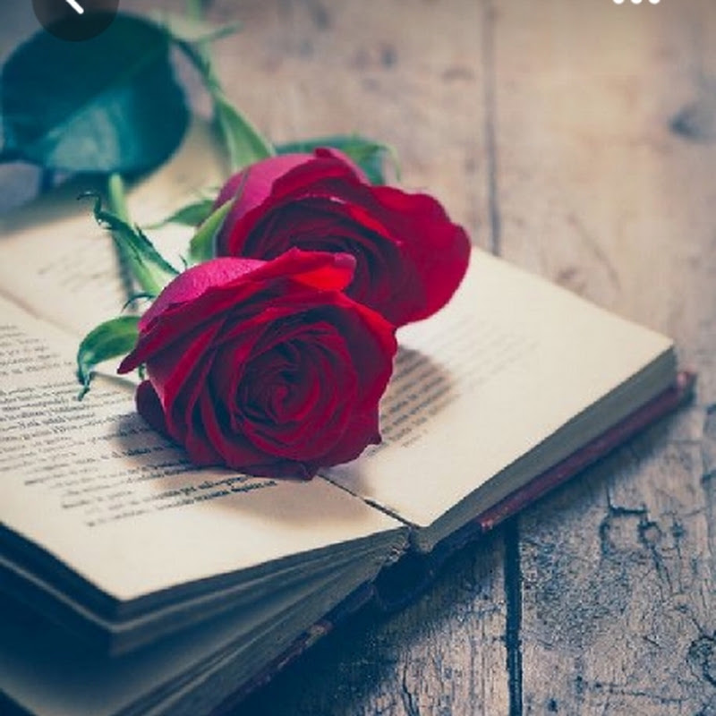 islamic knowledge