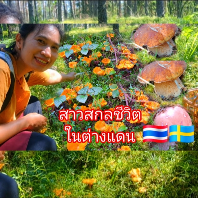 Lifestyle​ by  Tong Sao Sakon(สาวสกล)🇸🇪