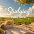 0_IVphVhFkA-channel-avatar-Studying with meow meow