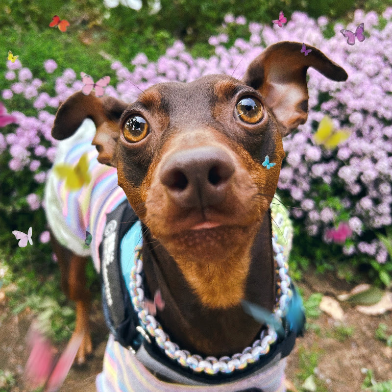 海鮮丼くんとマネジャー