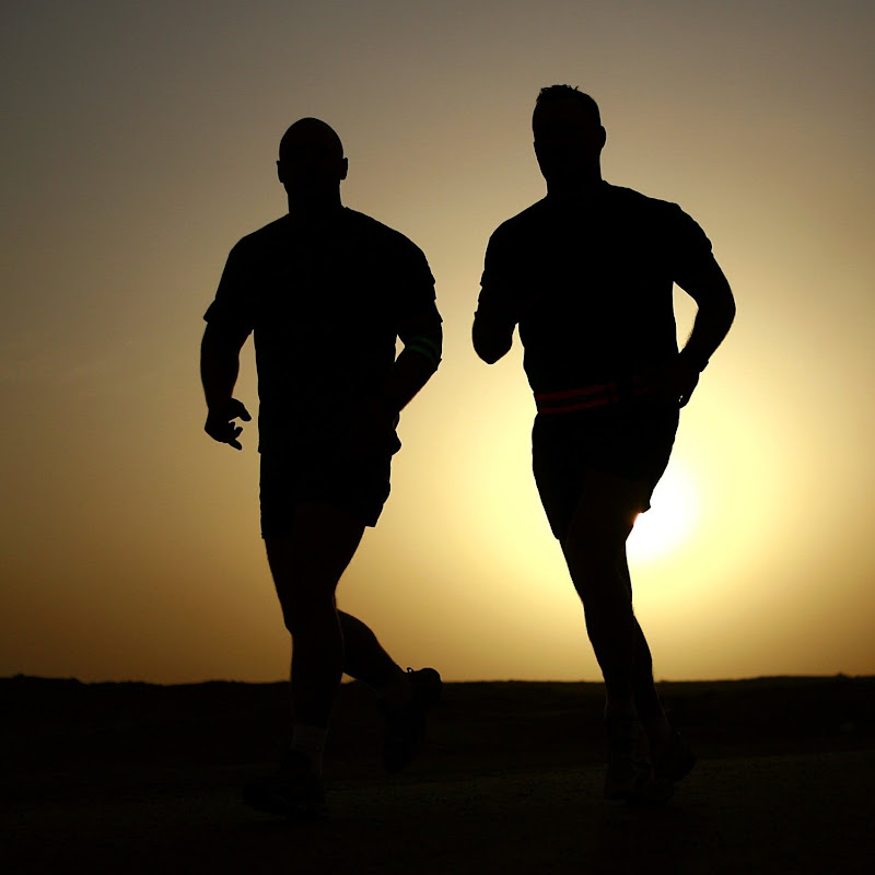 The Pillars of Fitness