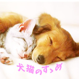 【ペットの心理・雑学】犬猫飼育のすゝめ