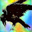 avatar of @lunarlittarot