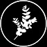 CfZkFtGGlZw-channel-avatar-Studio Eucalyptus