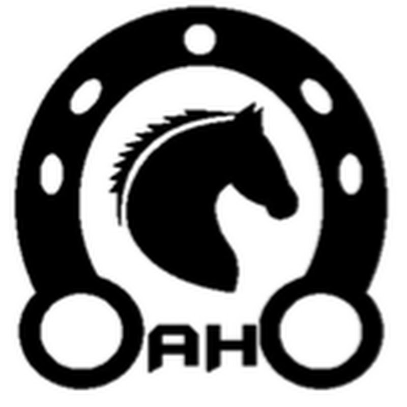 Asesor Hípico Handicapper