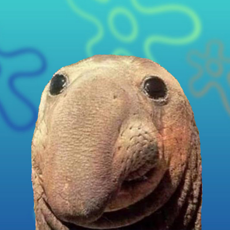 rokamo icon