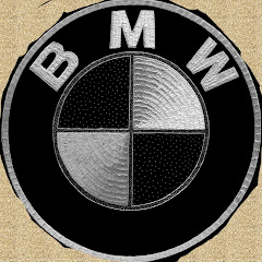 BMW fannsアイコン画像