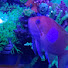 v_uRTe1Duaw-channel-avatar-Nusa Reef